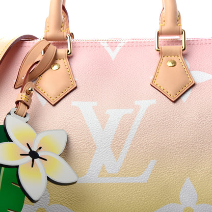 Louis Vuitton Monogram Giant By The Pool Speedy Bandouliere 25 Light Pink 10 of 10