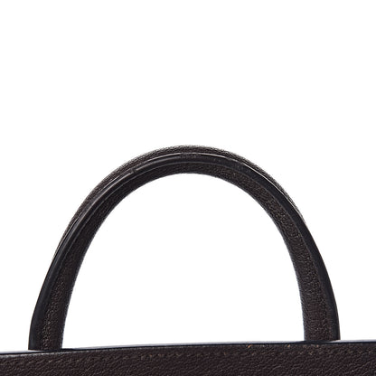 Celine Goatskin Nano Luggage Dark Taupe 9 of 15