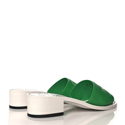 Chanel Calfskin CC Mules 36.5 Green White 4 of 9