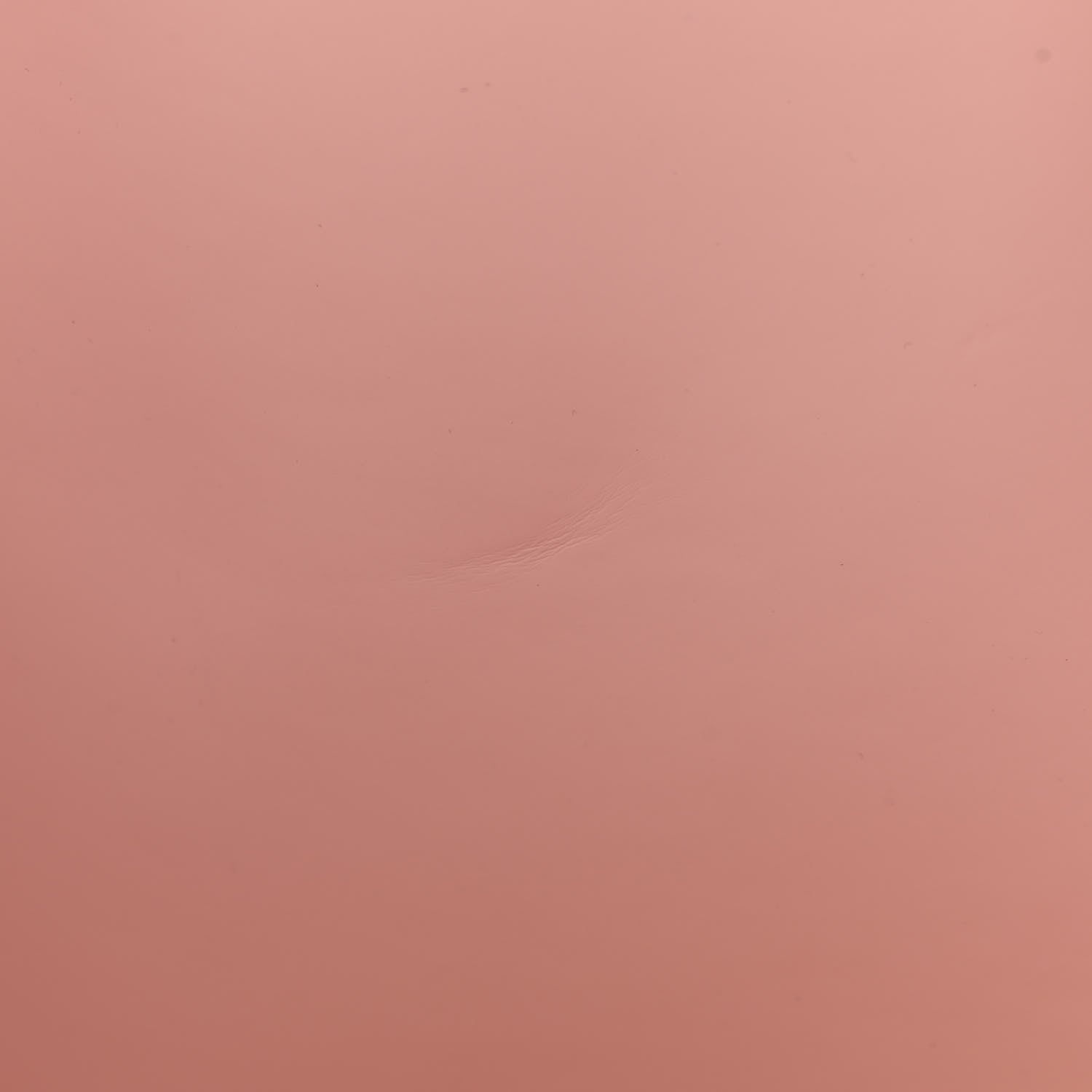 Mansur Gavriel Vegetable Tanned Calfskin Large Shopping Bag Rosa 14 of 16