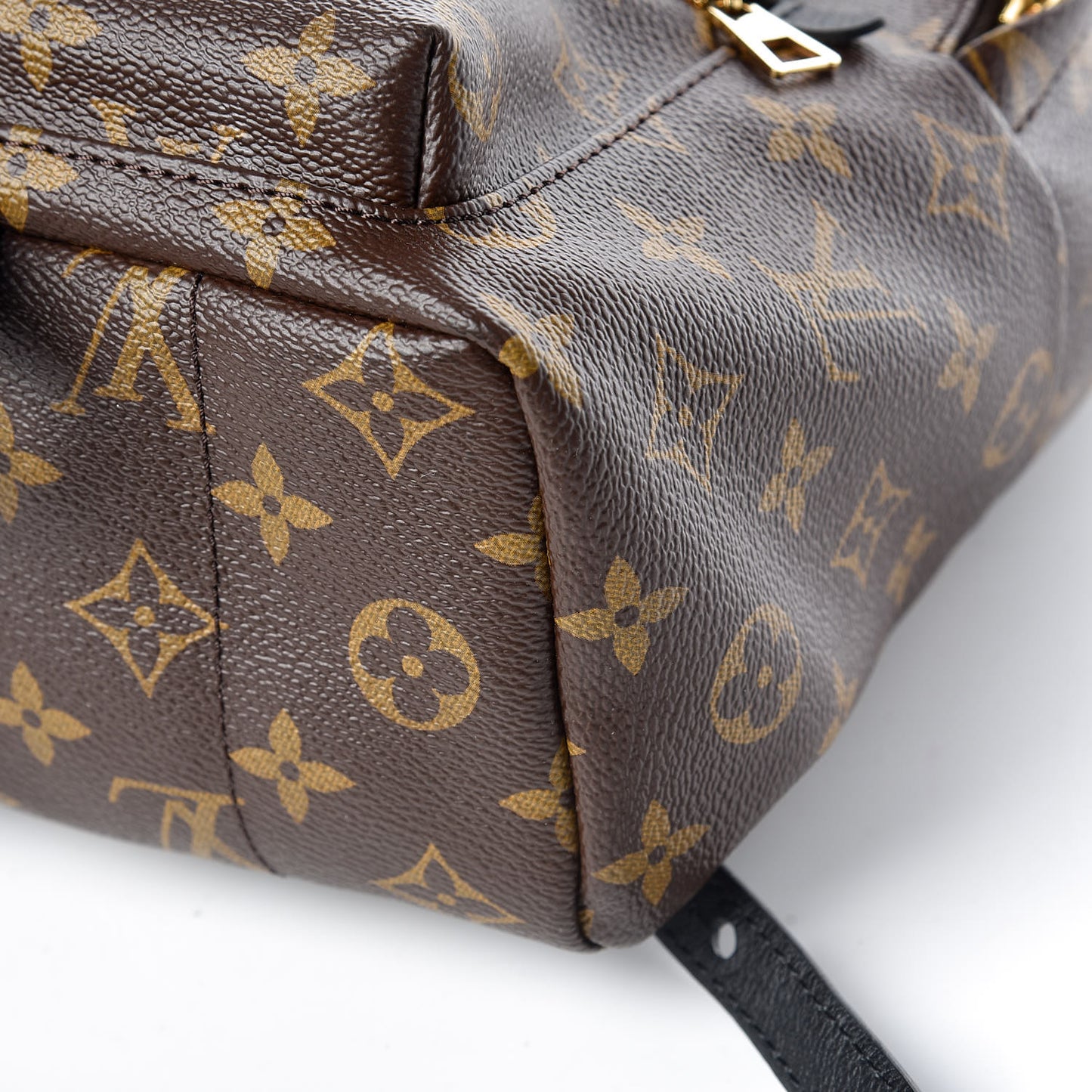 Monogram Palm Springs Backpack PM
