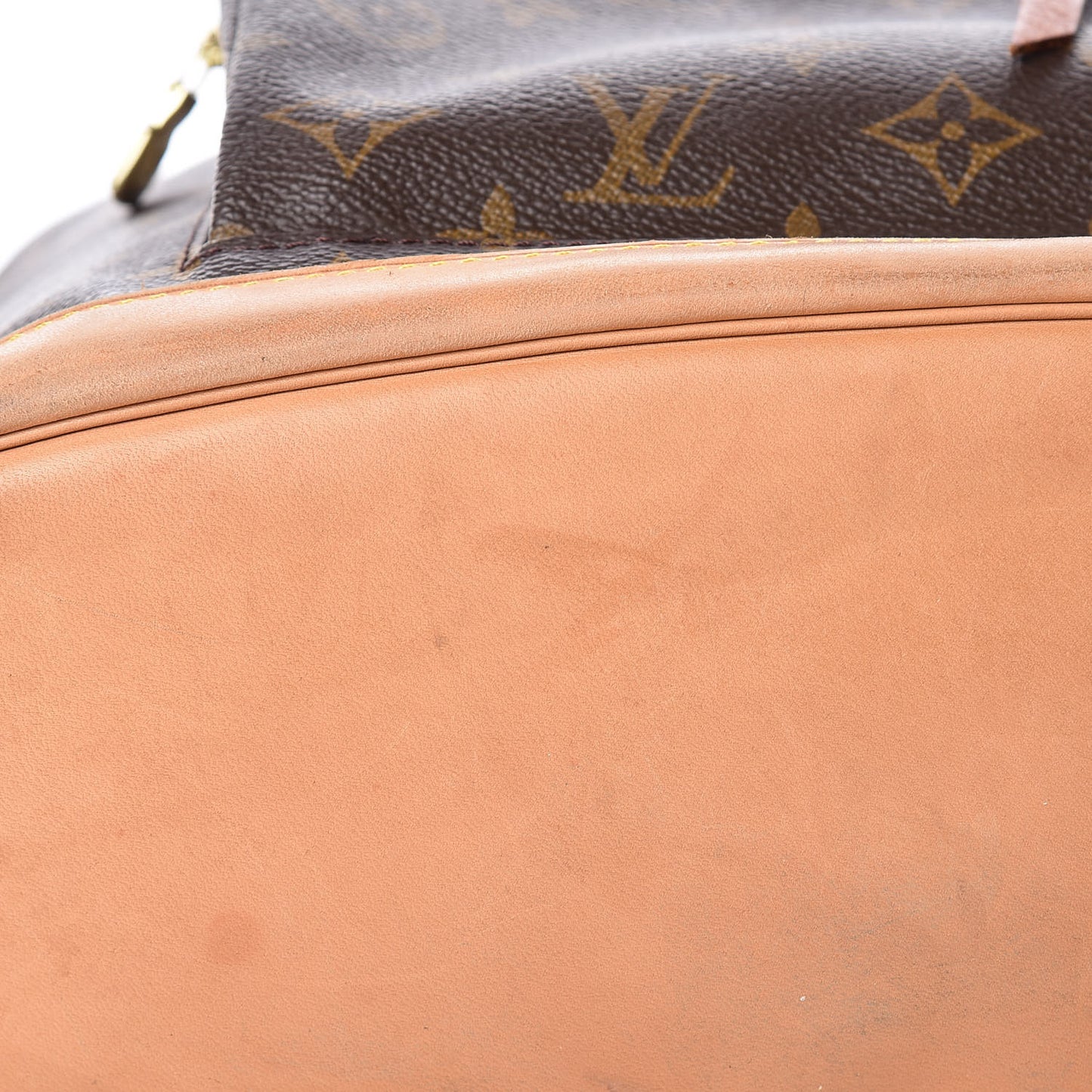 Monogram Montsouris GM Backpack