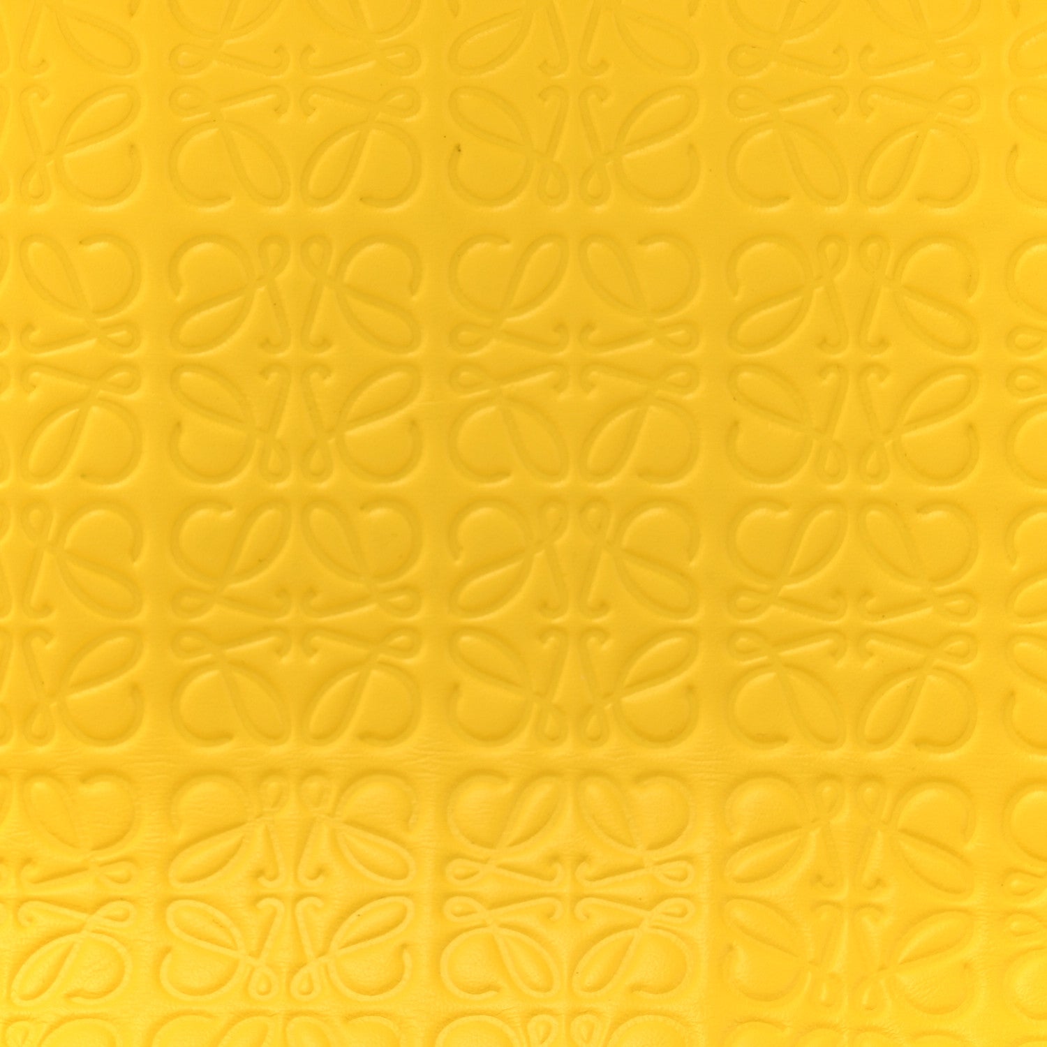 Loewe Calfskin Embossed Large Double Amarillo Pouch Yellow 8 of 17