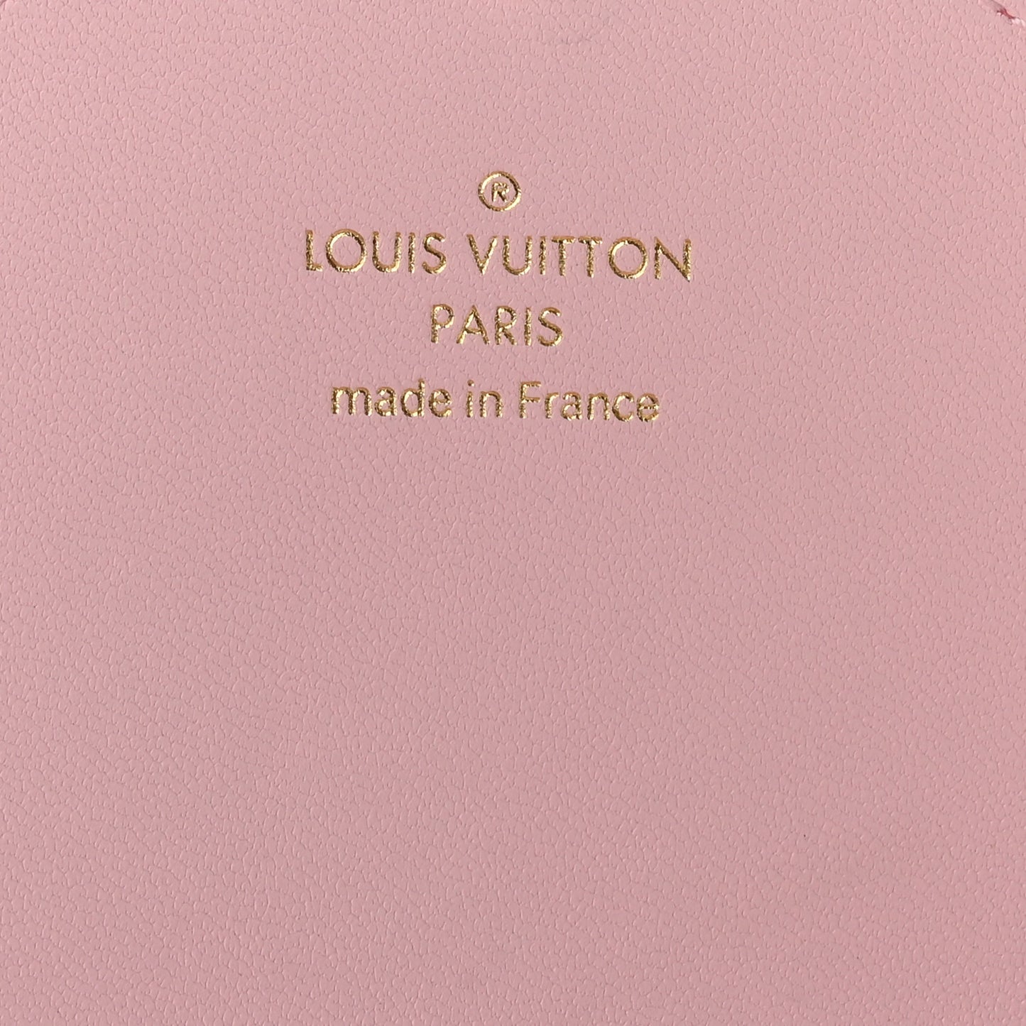 Monogram Giant By The Pool Large Kirigami Pochette Pink