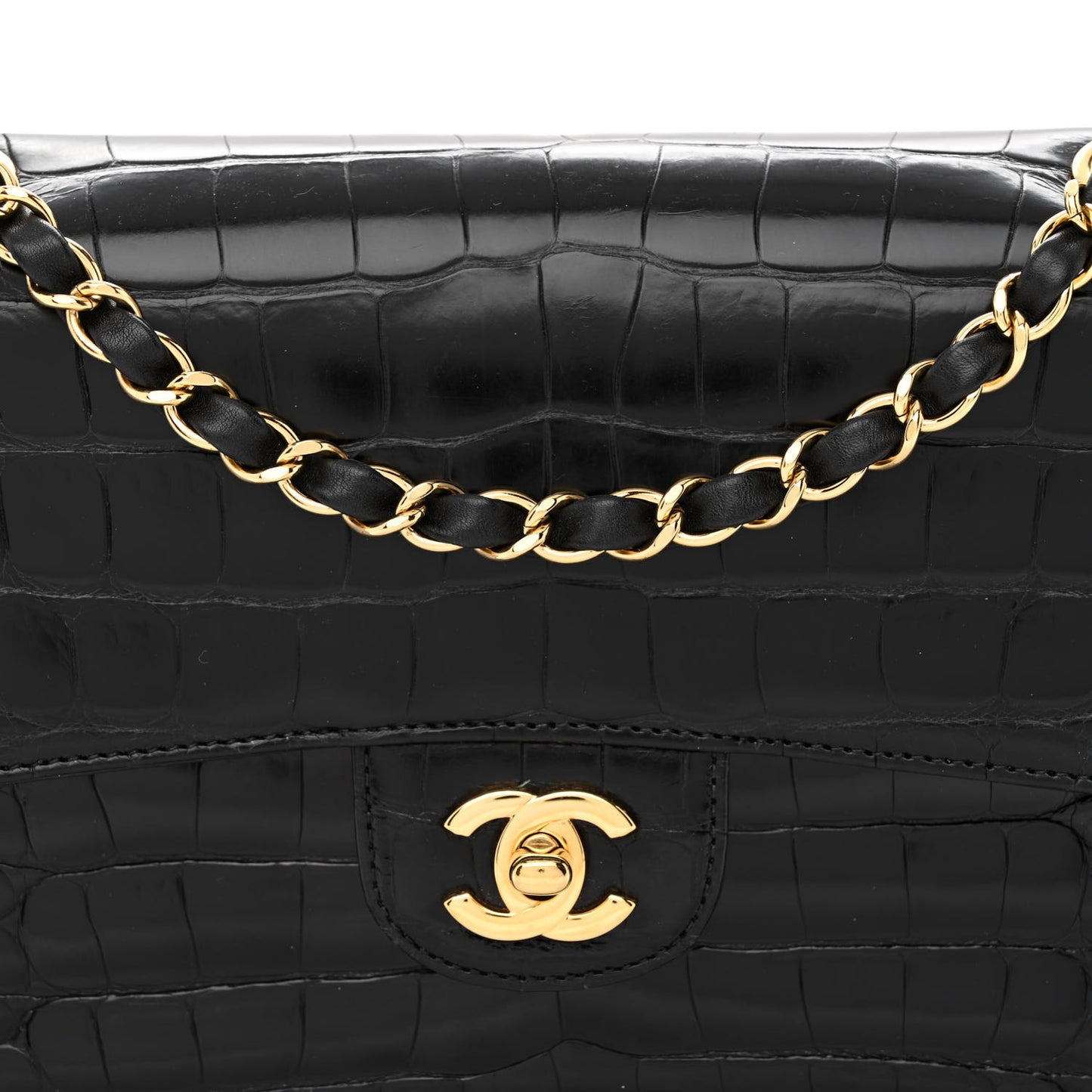 Alligator Medium Double Flap Black