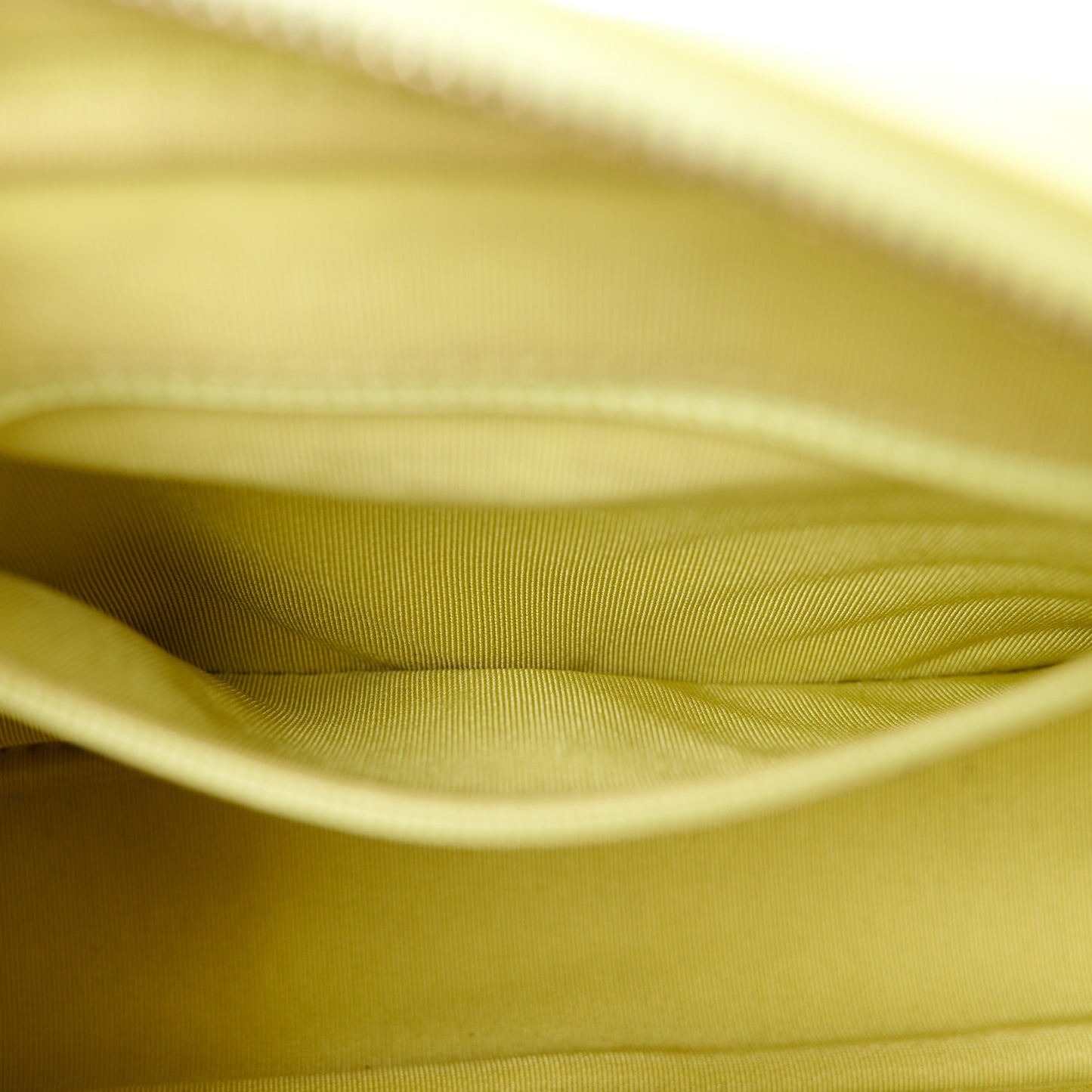 Calfskin Quilted Daily Chevron Camera Case Light Green