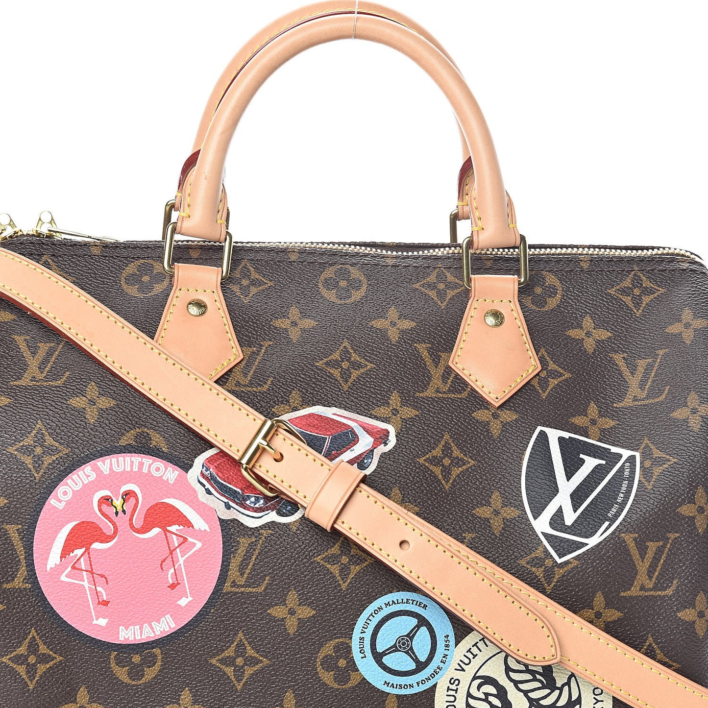 Monogram World Tour Speedy Bandouliere 30