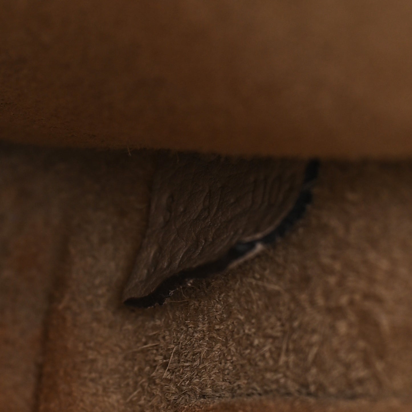 Drummed Calfskin Nano Luggage Dune