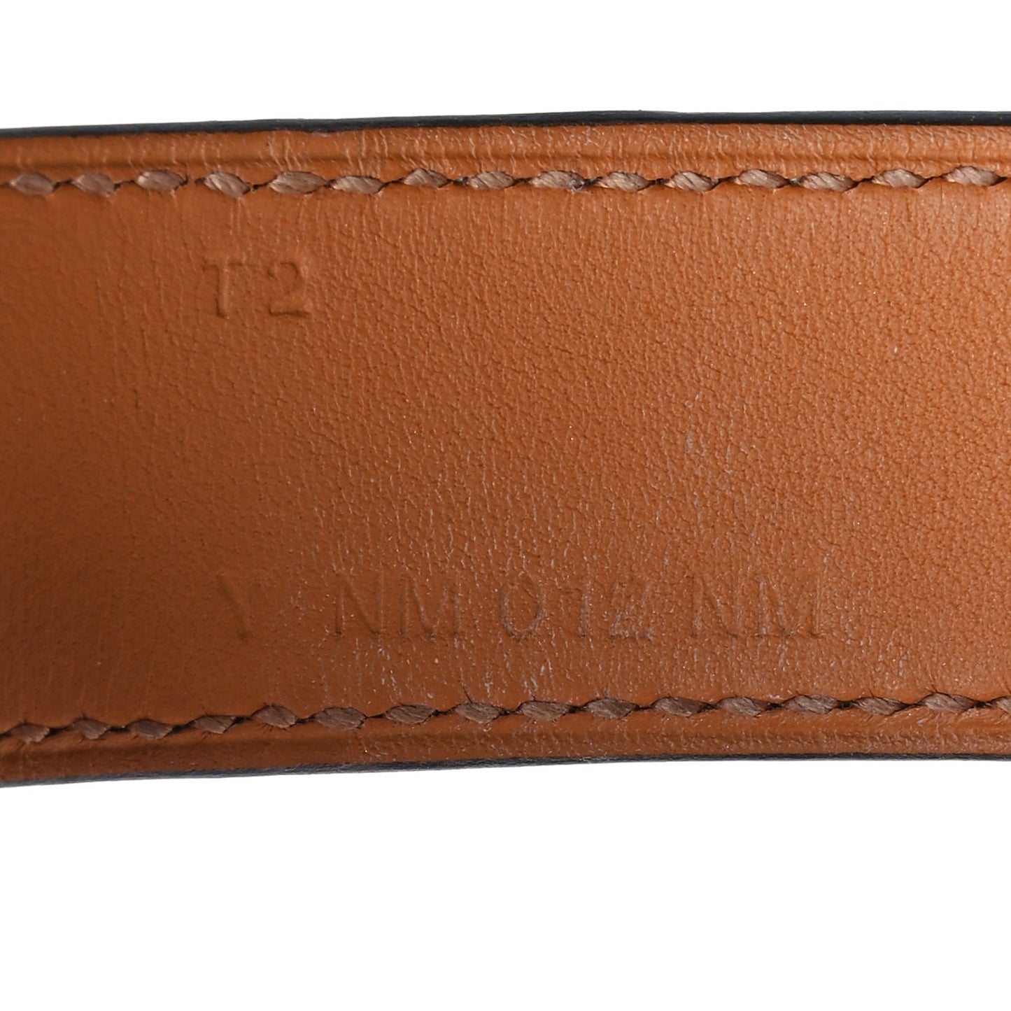 Lizard Collier de Chien CDC 24 Bracelet T2 Ombre