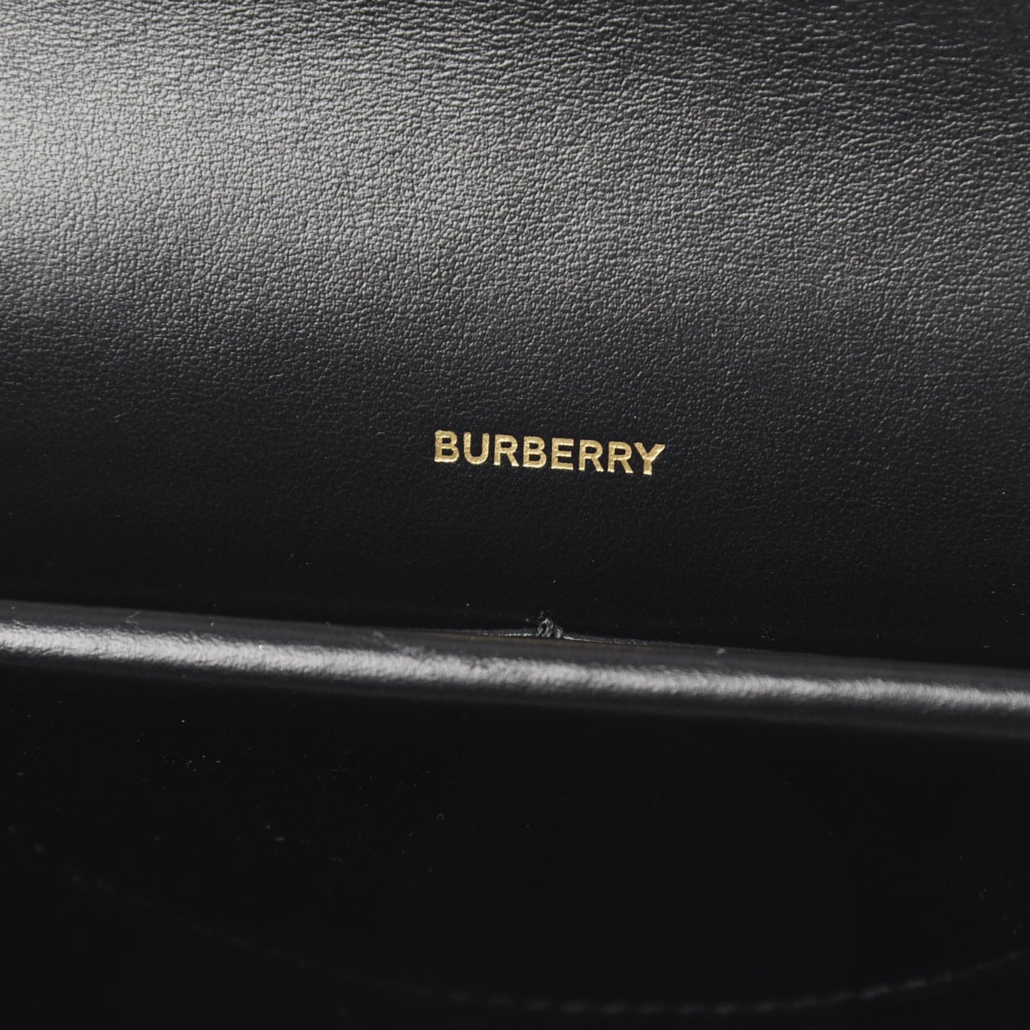 Grained Calfskin Albion TB Bag Black