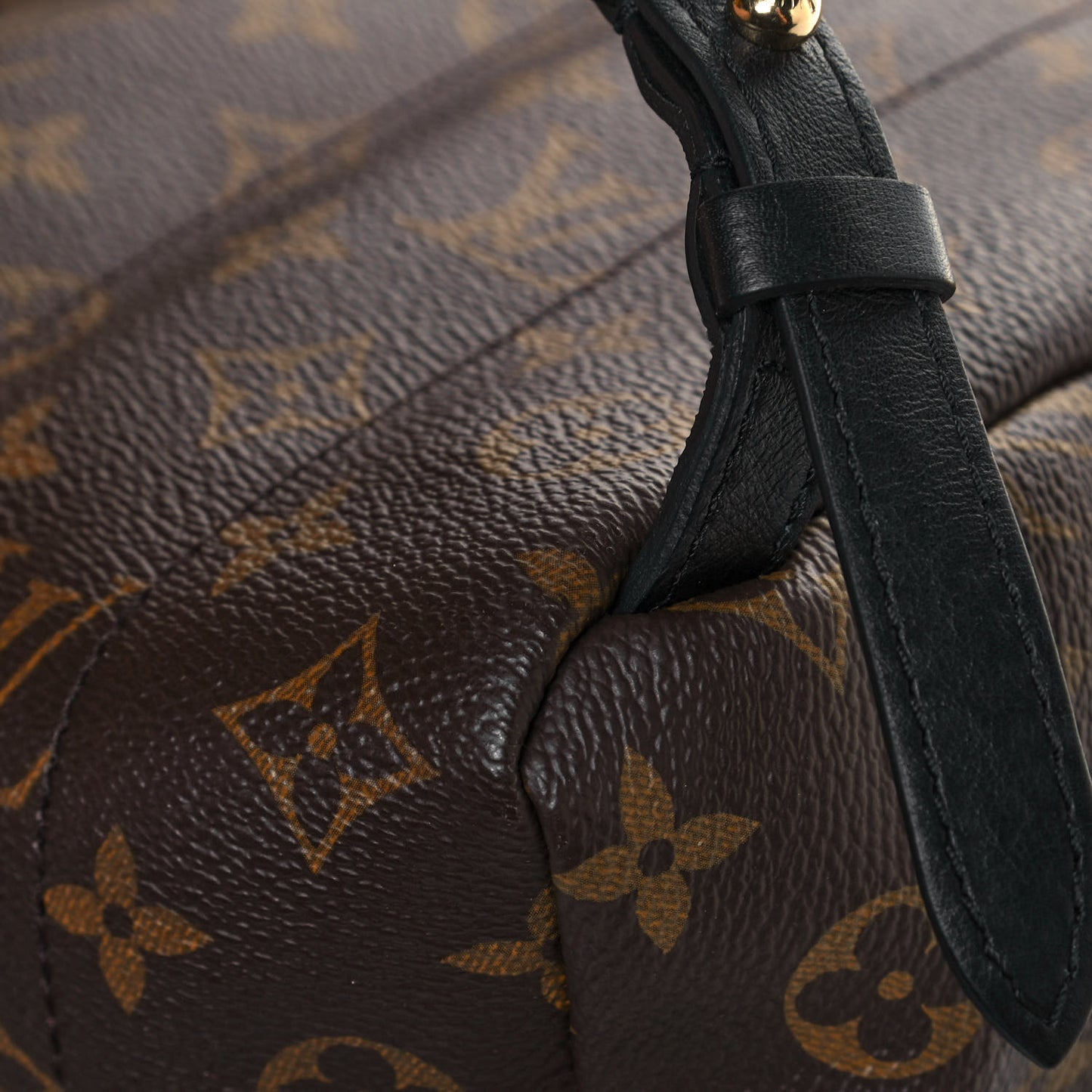Monogram Palm Springs Backpack PM