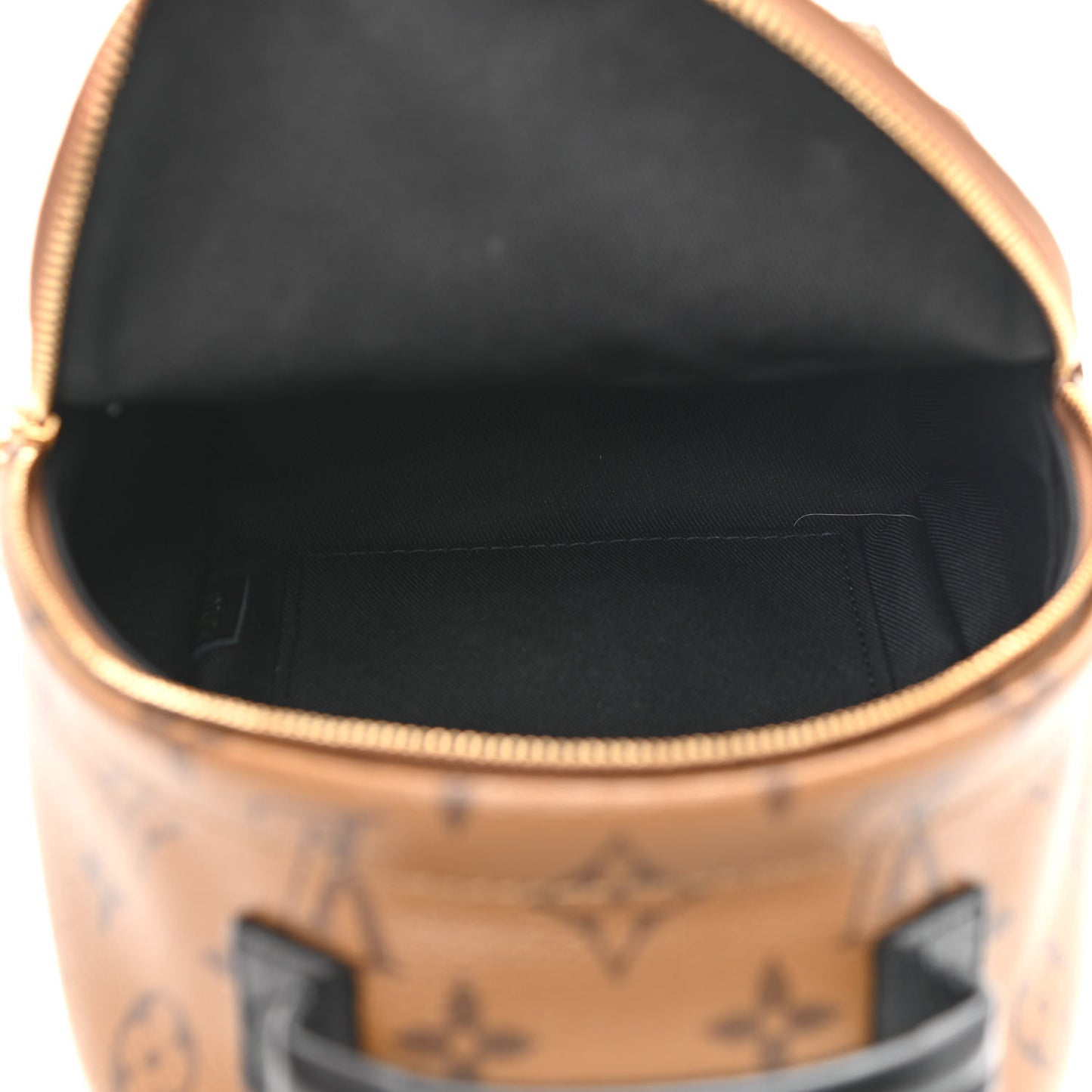 Reverse Monogram Palm Springs Backpack Mini