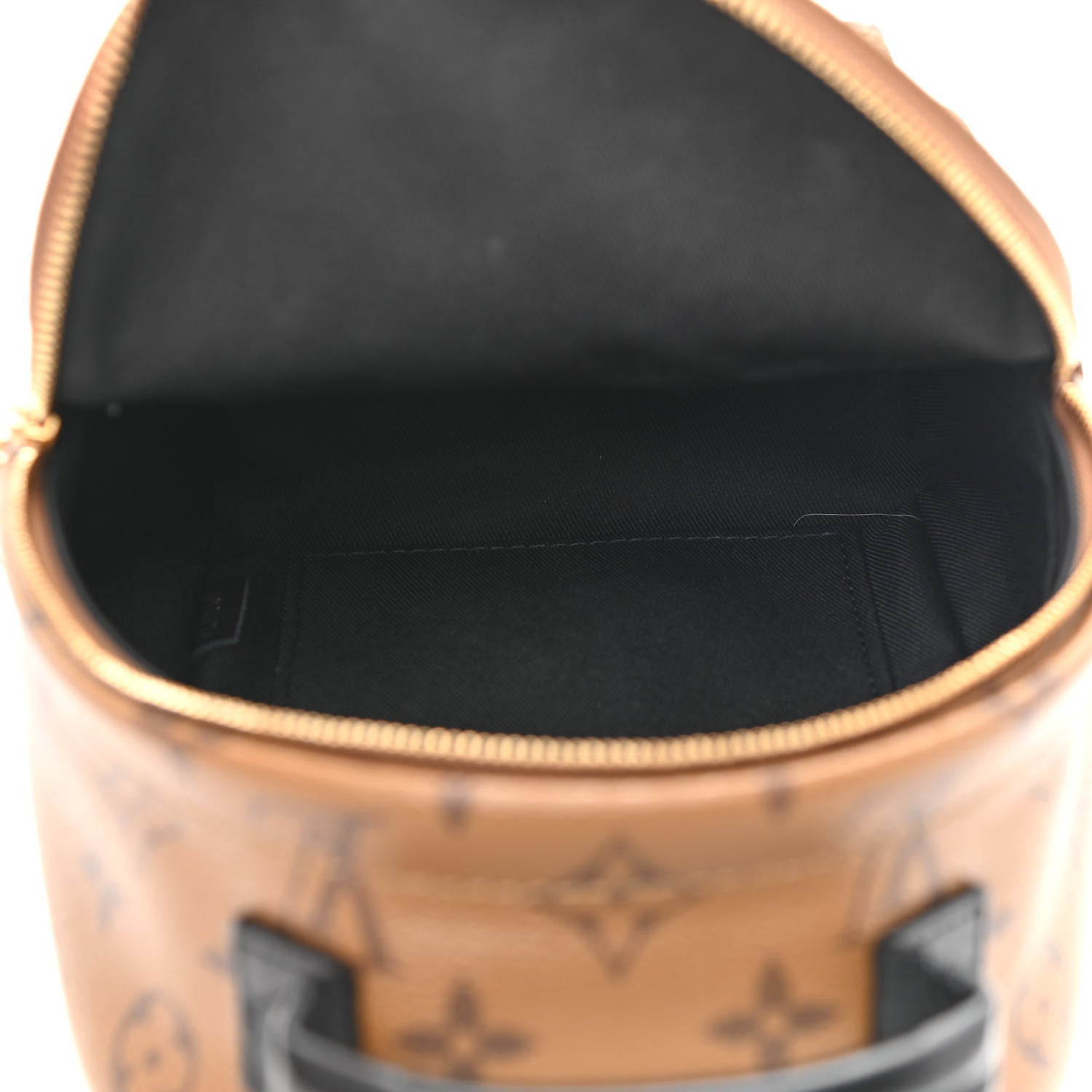 Louis Vuitton Reverse Monogram Palm Springs Backpack Mini 5 of 10