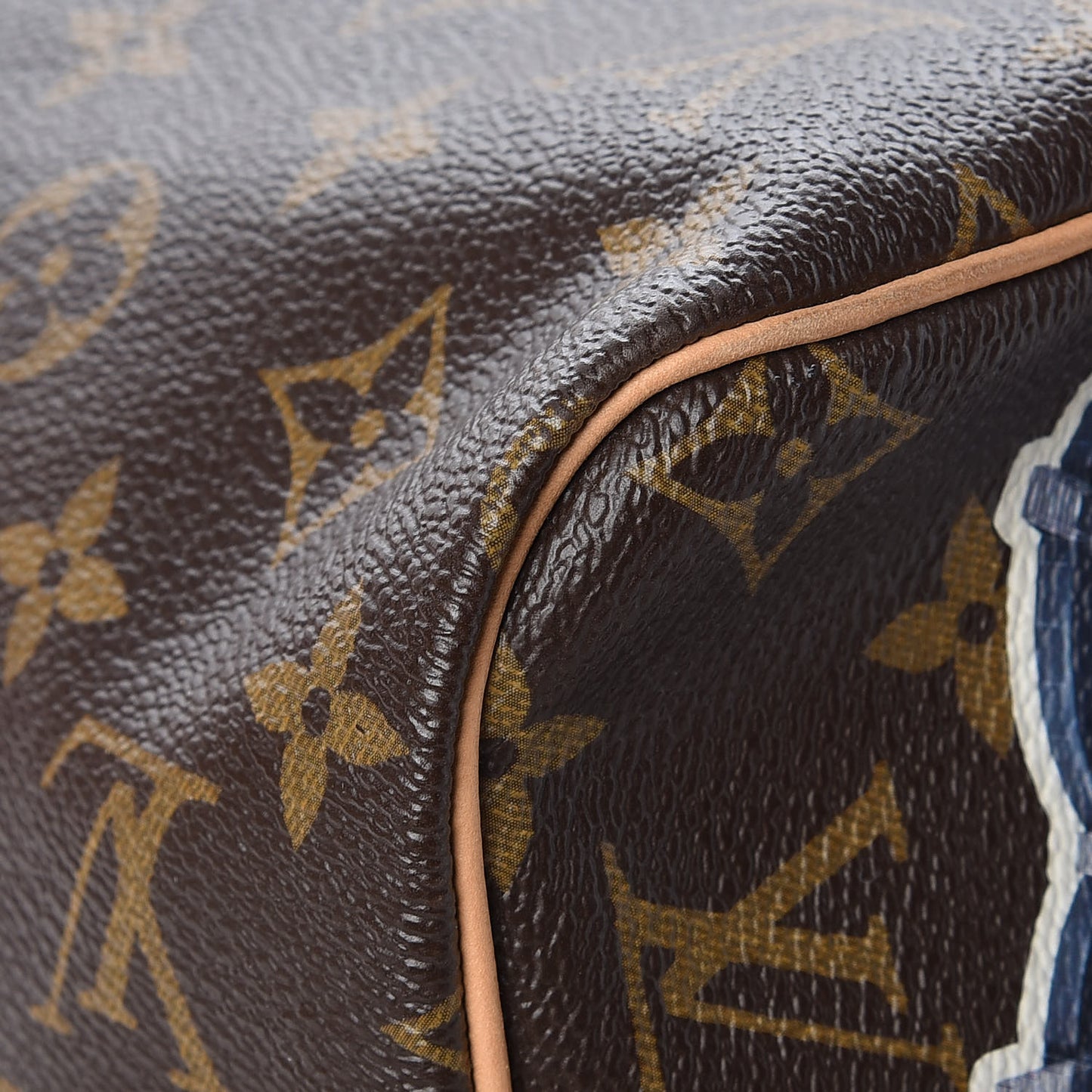 Monogram World Tour Speedy Bandouliere 30