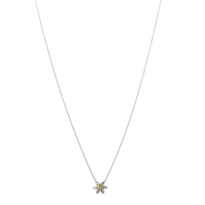 Tiffany Platinum 18K Yellow Gold Diamond Fancy Yellow Diamond Buttercup Necklace 1 of 5