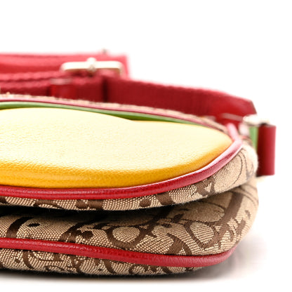 Christian Dior Monogram Rasta Double Saddle Beige Saddle Beige 10 of 11