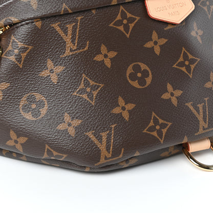 Louis Vuitton Monogram Bumbag 7 of 8