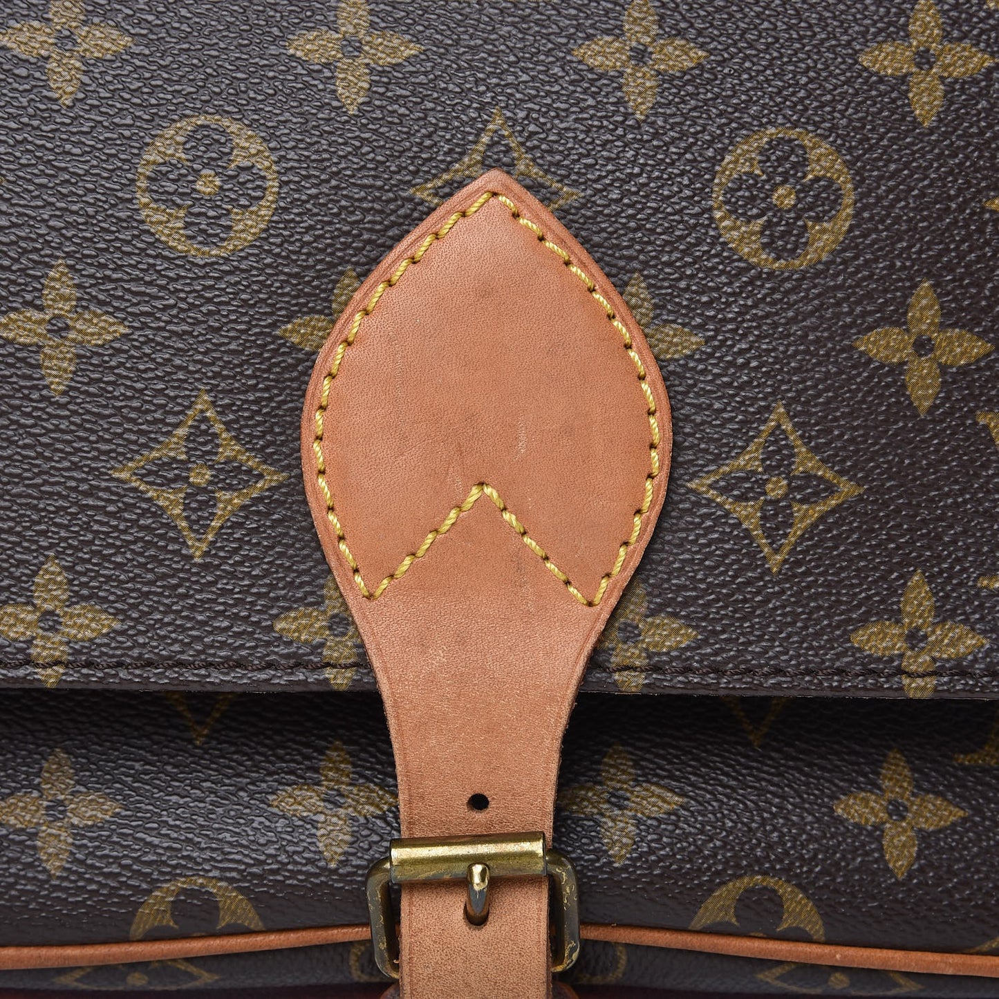Monogram Cartouchiere 22