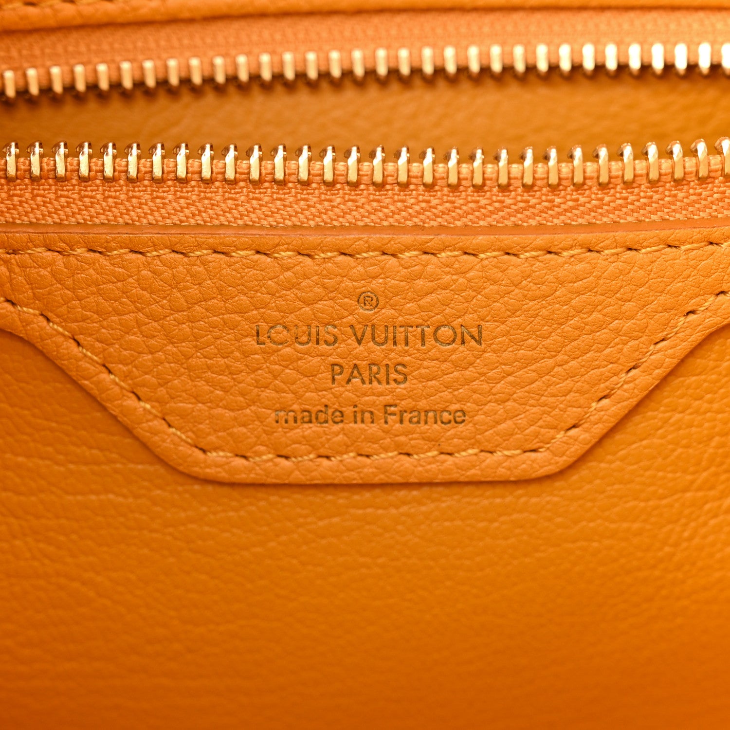 Louis Vuitton Monogram Ostrich Lizard Majestueux PM Yellow 6 of 13