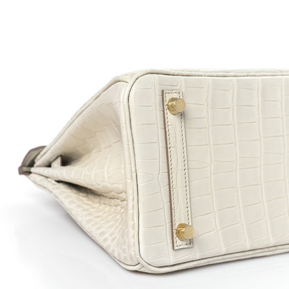 Hermes Matte Alligator Birkin 25 Beton 8 of 10