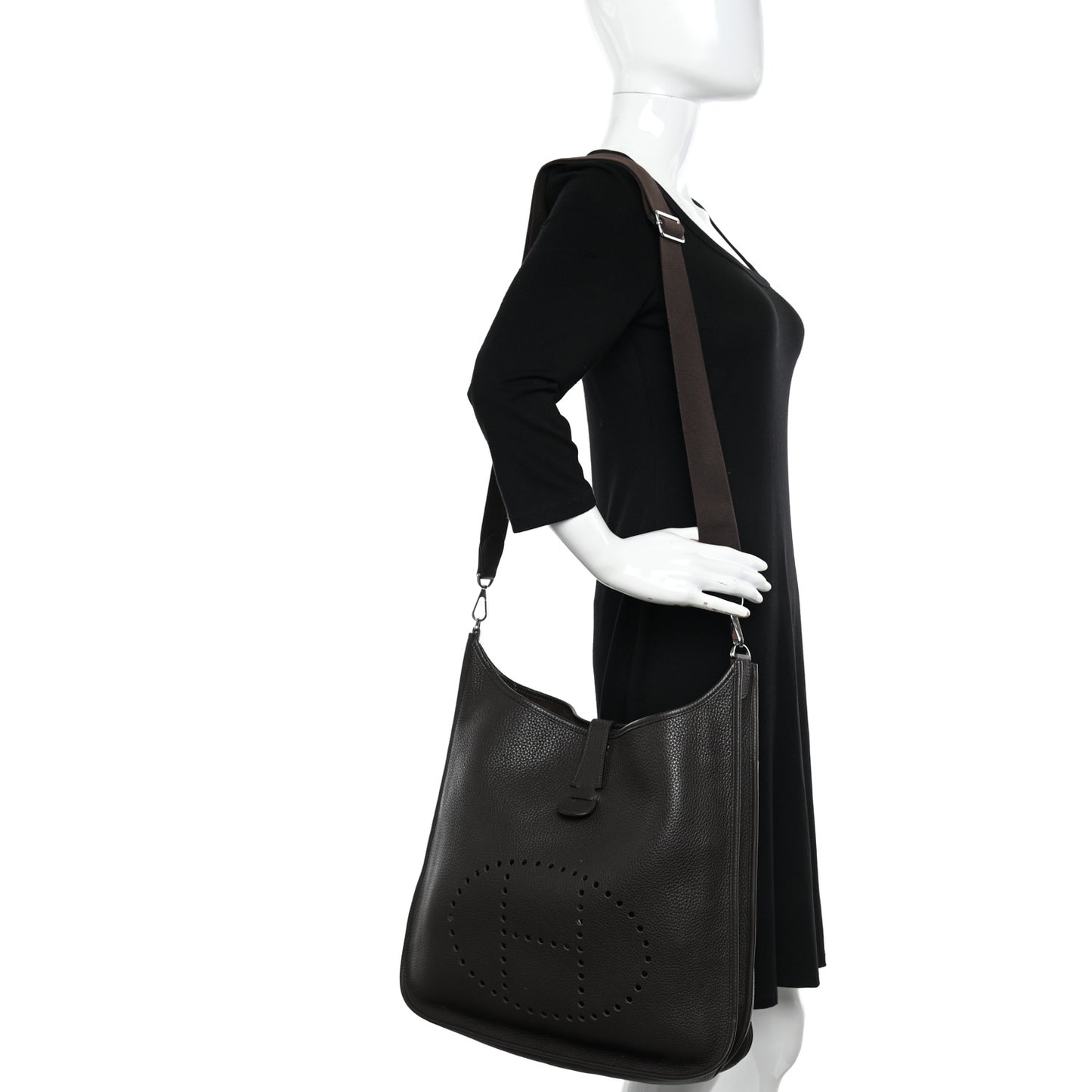 Taurillon Clemence Evelyne III TGM Chocolate