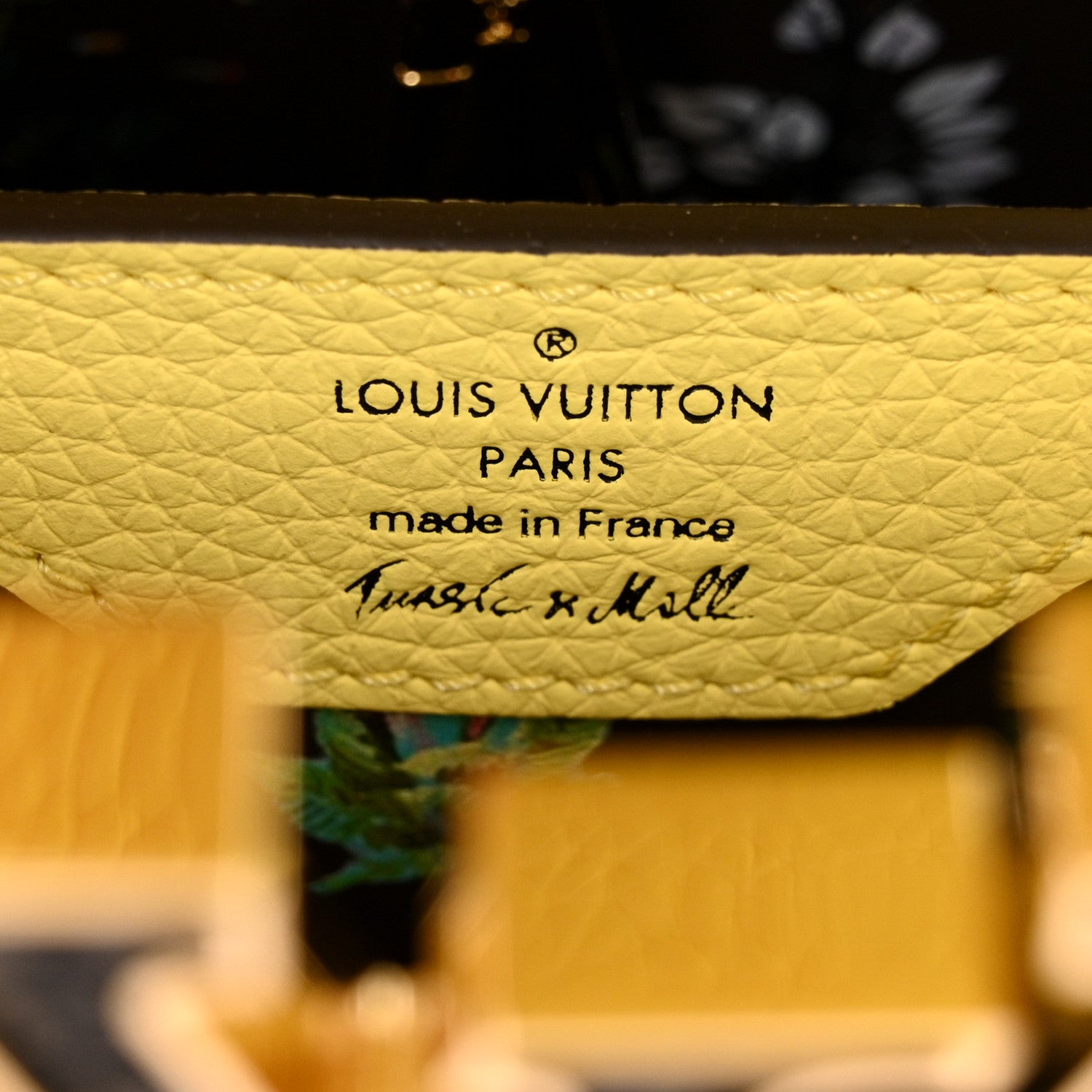 Louis Vuitton Taurillon Embroidered Tenderness Capucines MM Yellow Multicolor 6 of 13