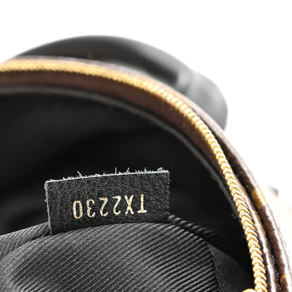 Louis Vuitton Monogram Palm Springs Backpack Mini 6 of 10