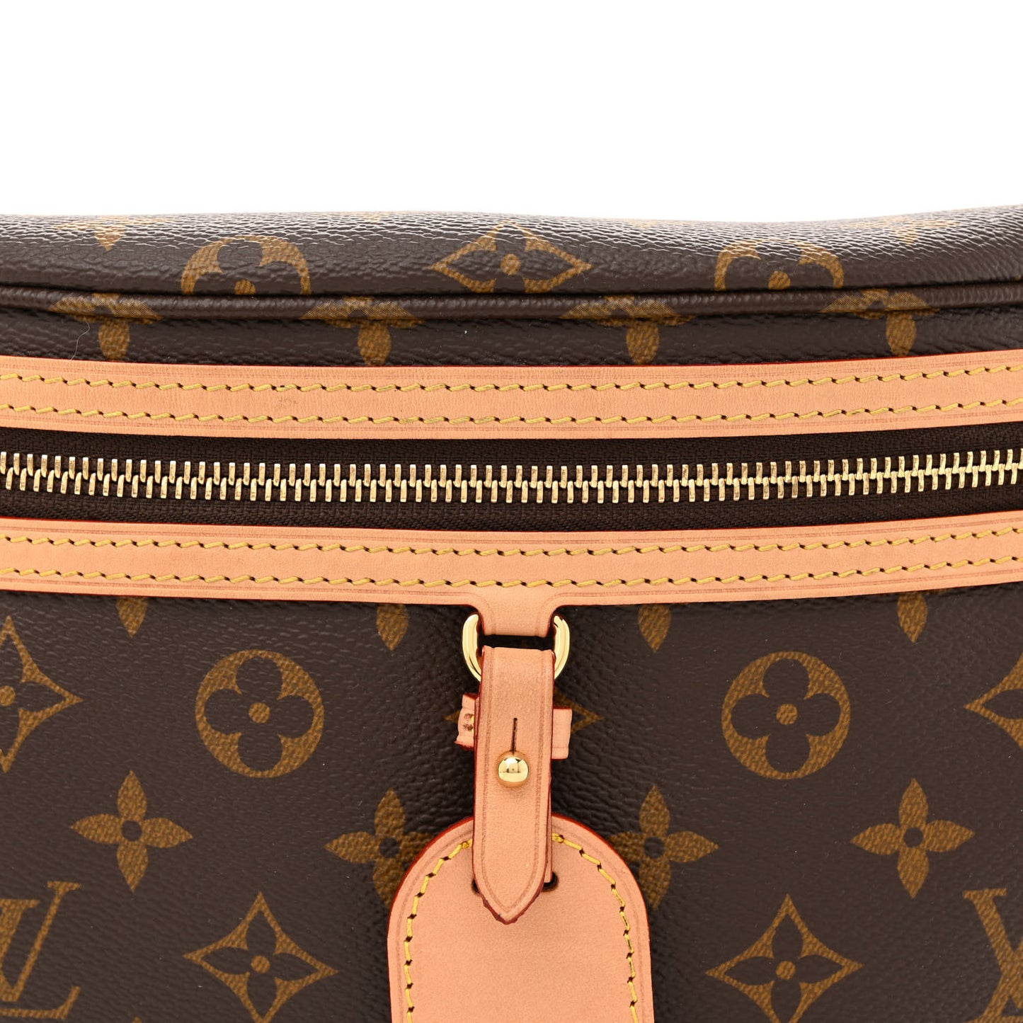 Monogram High Rise Bumbag
