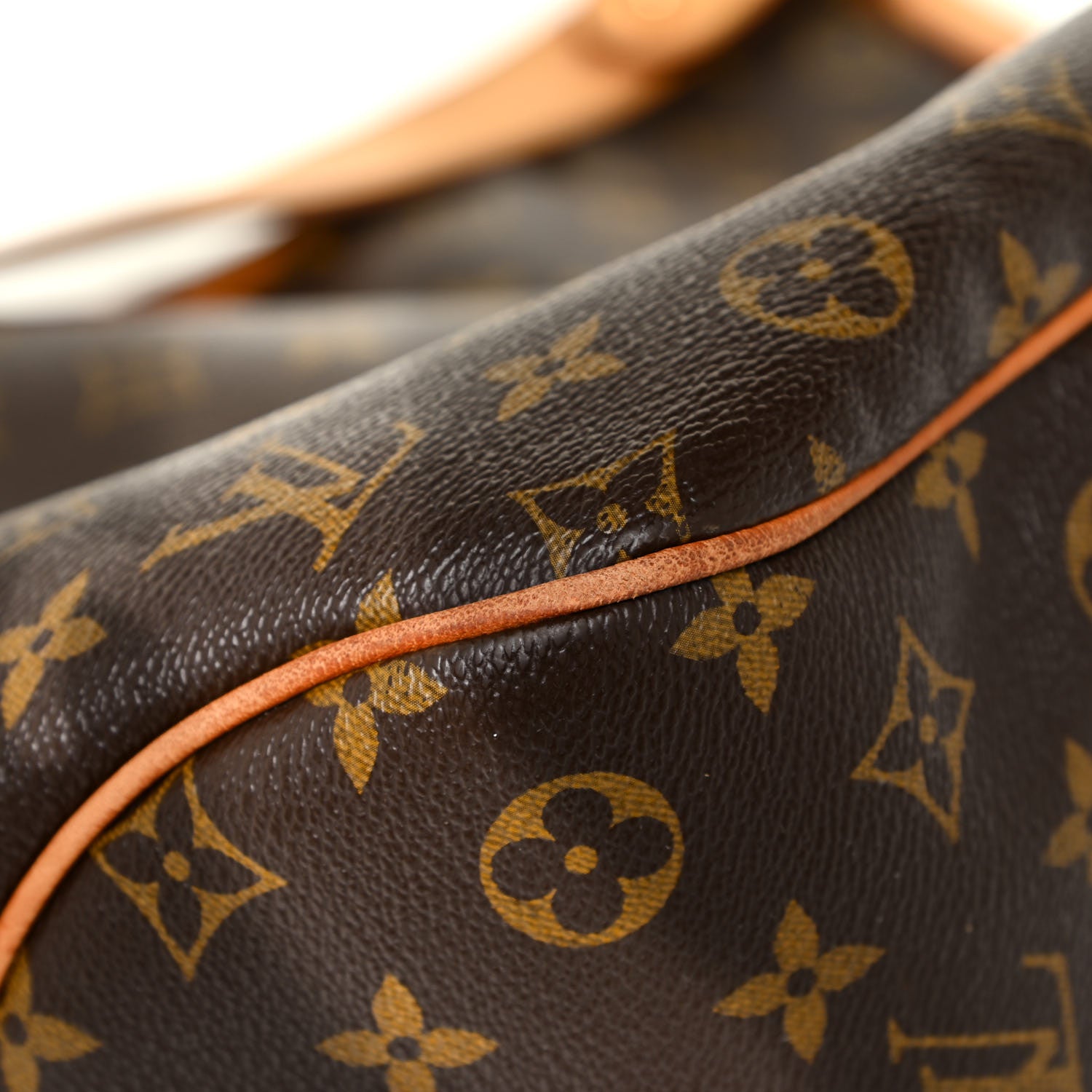 Louis Vuitton Monogram Delightful PM 16 of 21