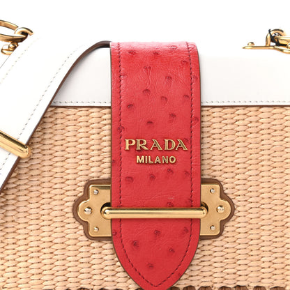 Prada City Calf Raffia Ostrich Cahier Bag Natural Roso 10 of 11