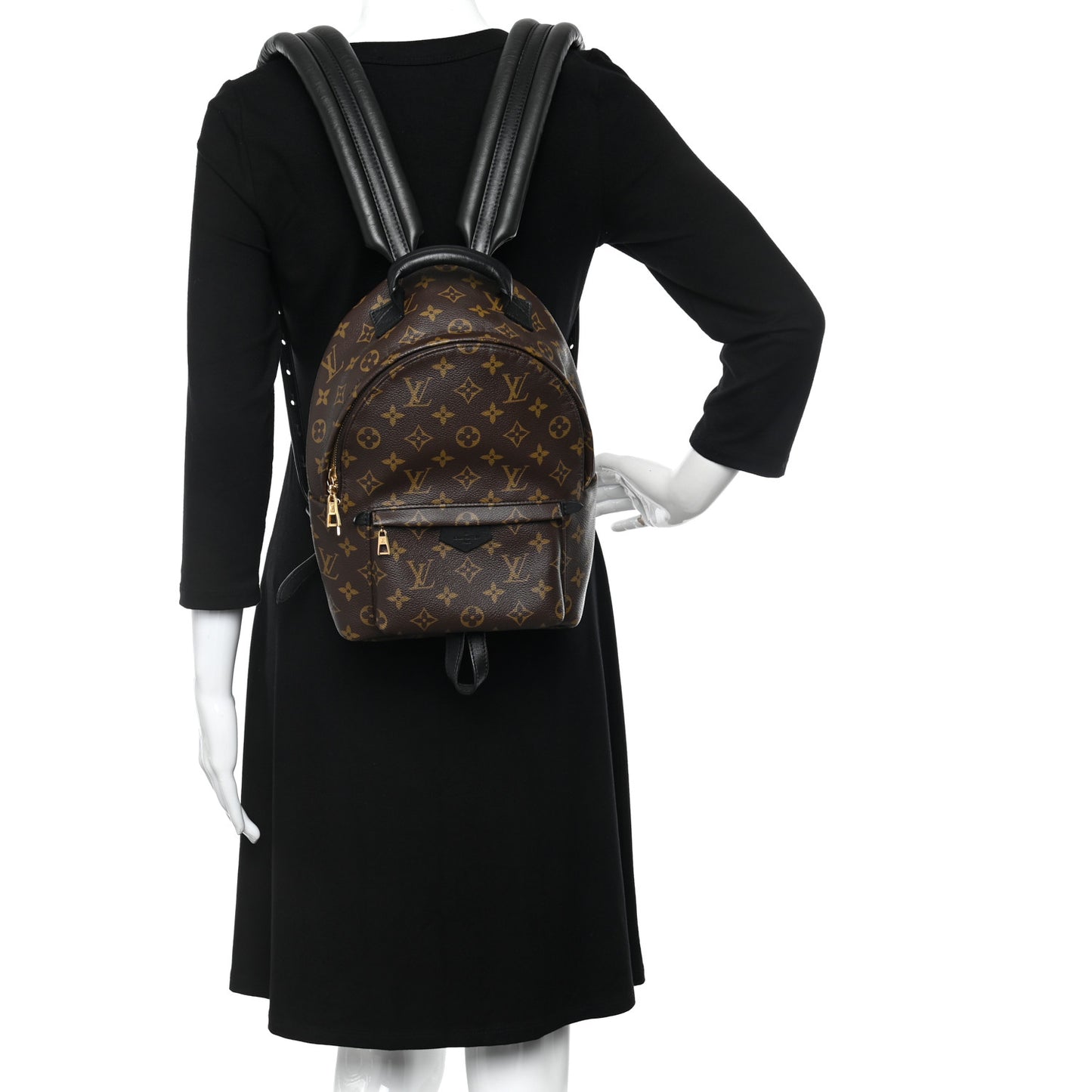 Monogram Palm Springs Backpack PM