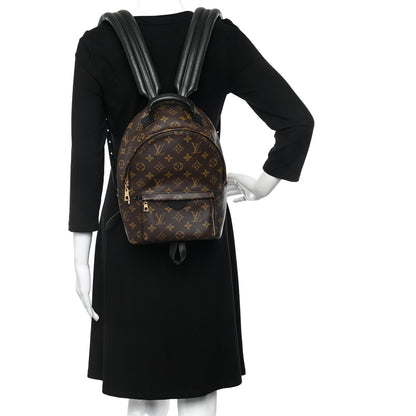 Louis Vuitton Monogram Palm Springs Backpack PM 2 of 10