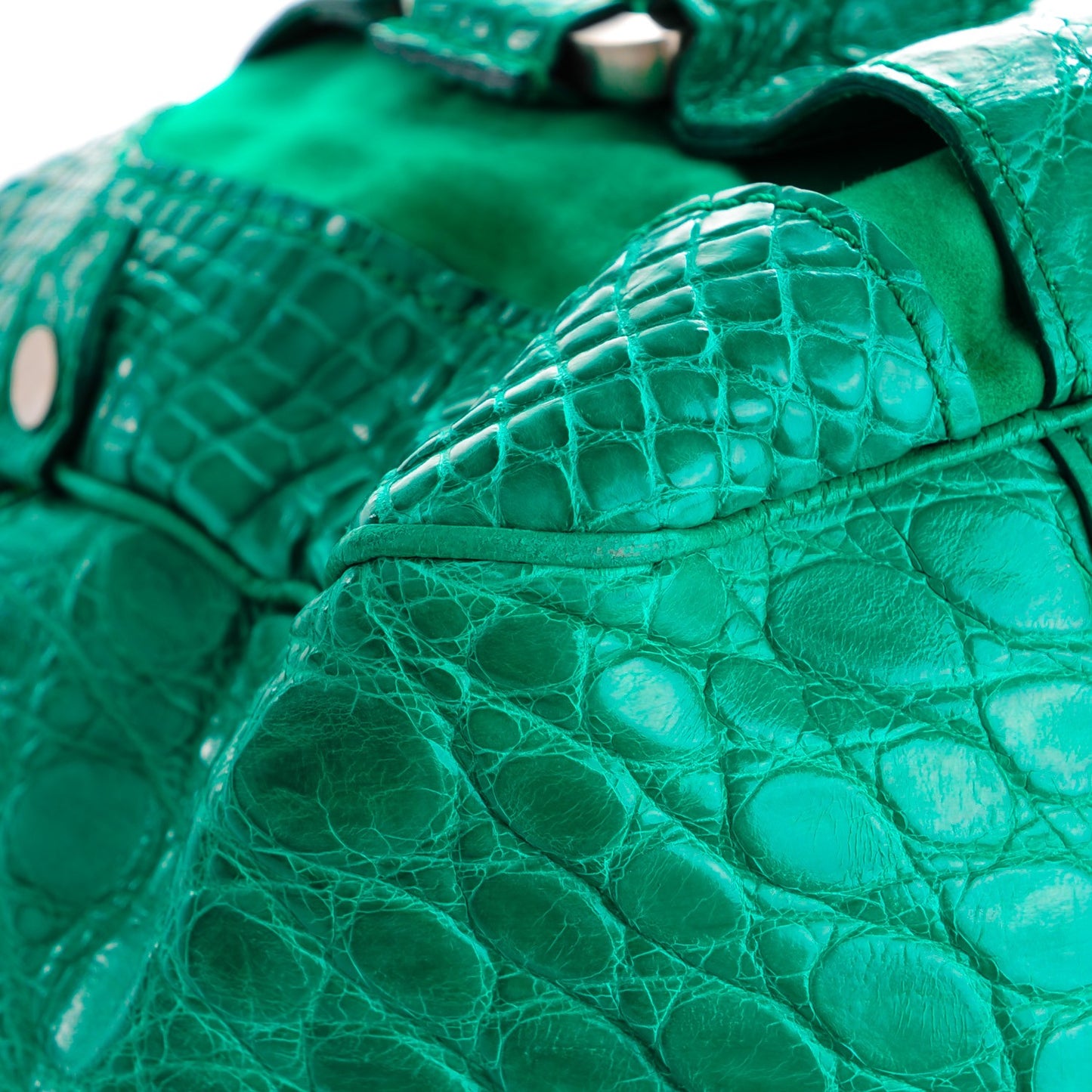 Crocodile Suede Mahdi Green