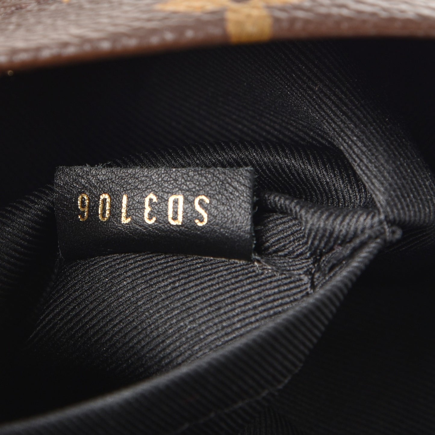 Monogram Palm Springs Backpack Mini