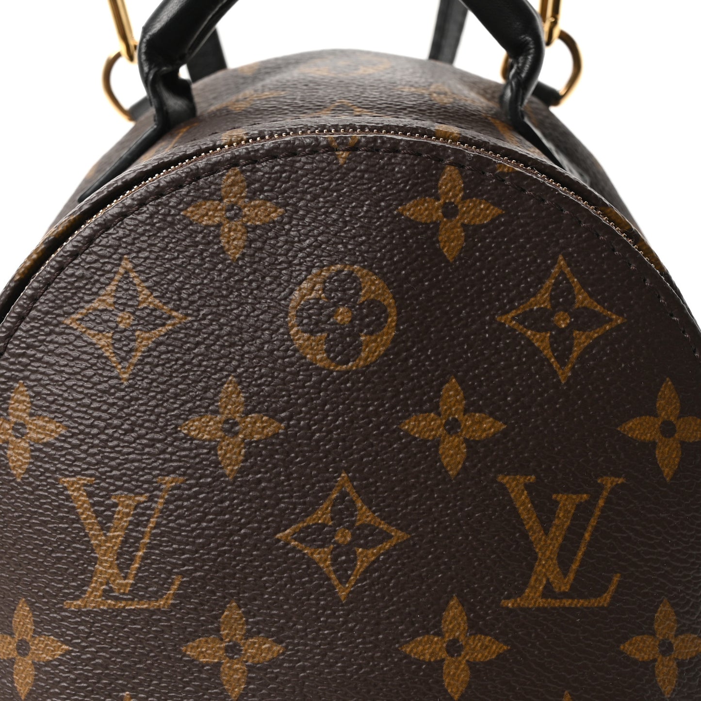 Monogram Palm Springs Backpack Mini