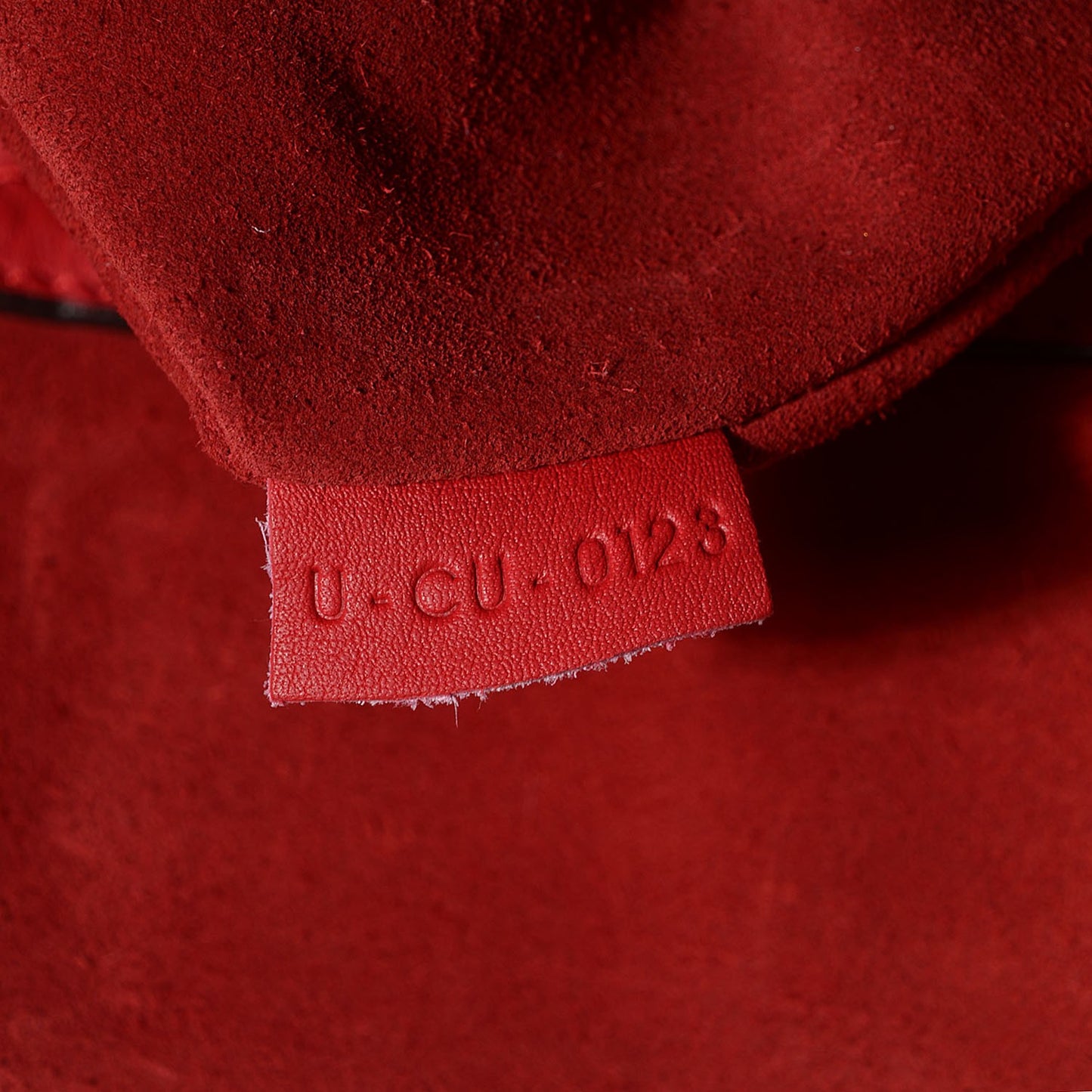 Supple Calfskin Medium Phantom Luggage Vermillion