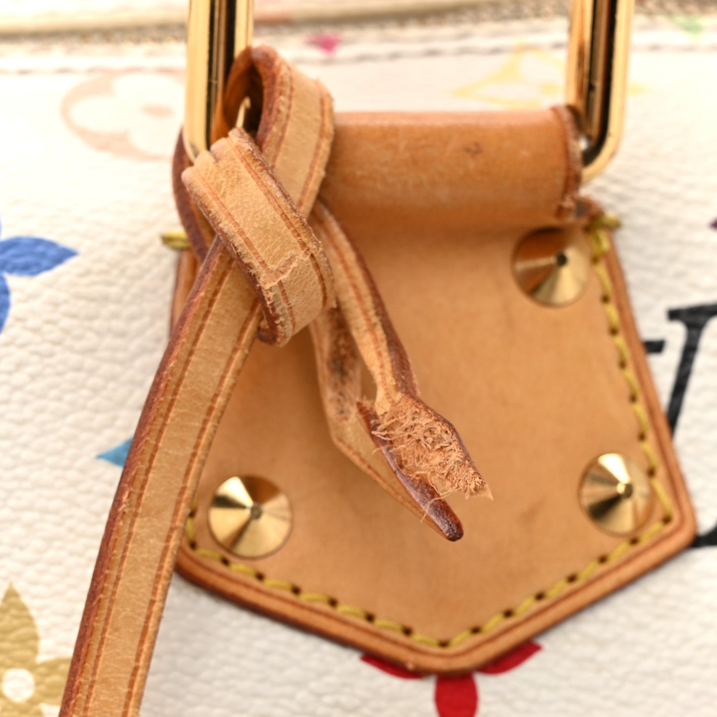 Monogram Multicolor Speedy 30 White