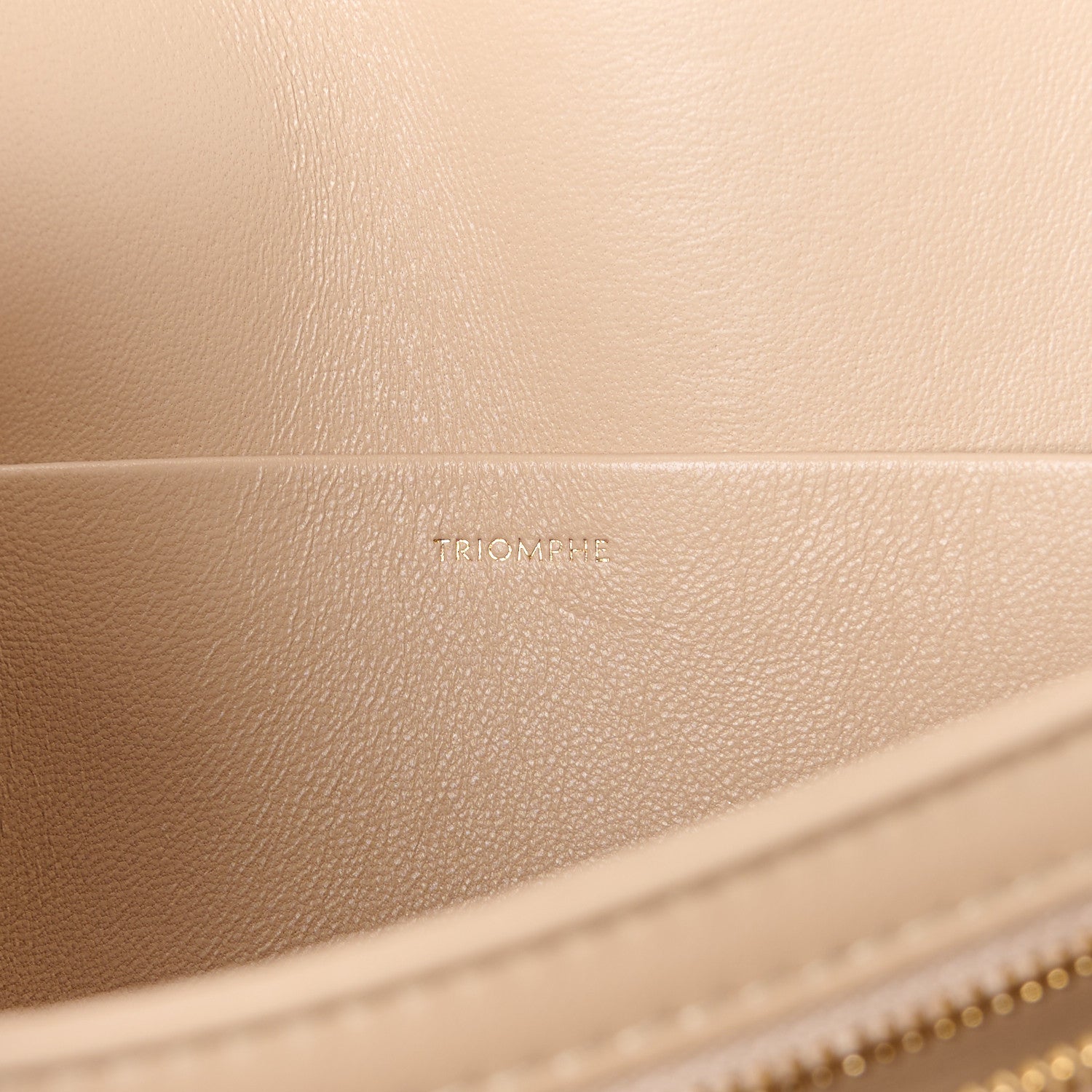 Celine Shiny Calfskin Medium Triomphe Nude 6 of 12
