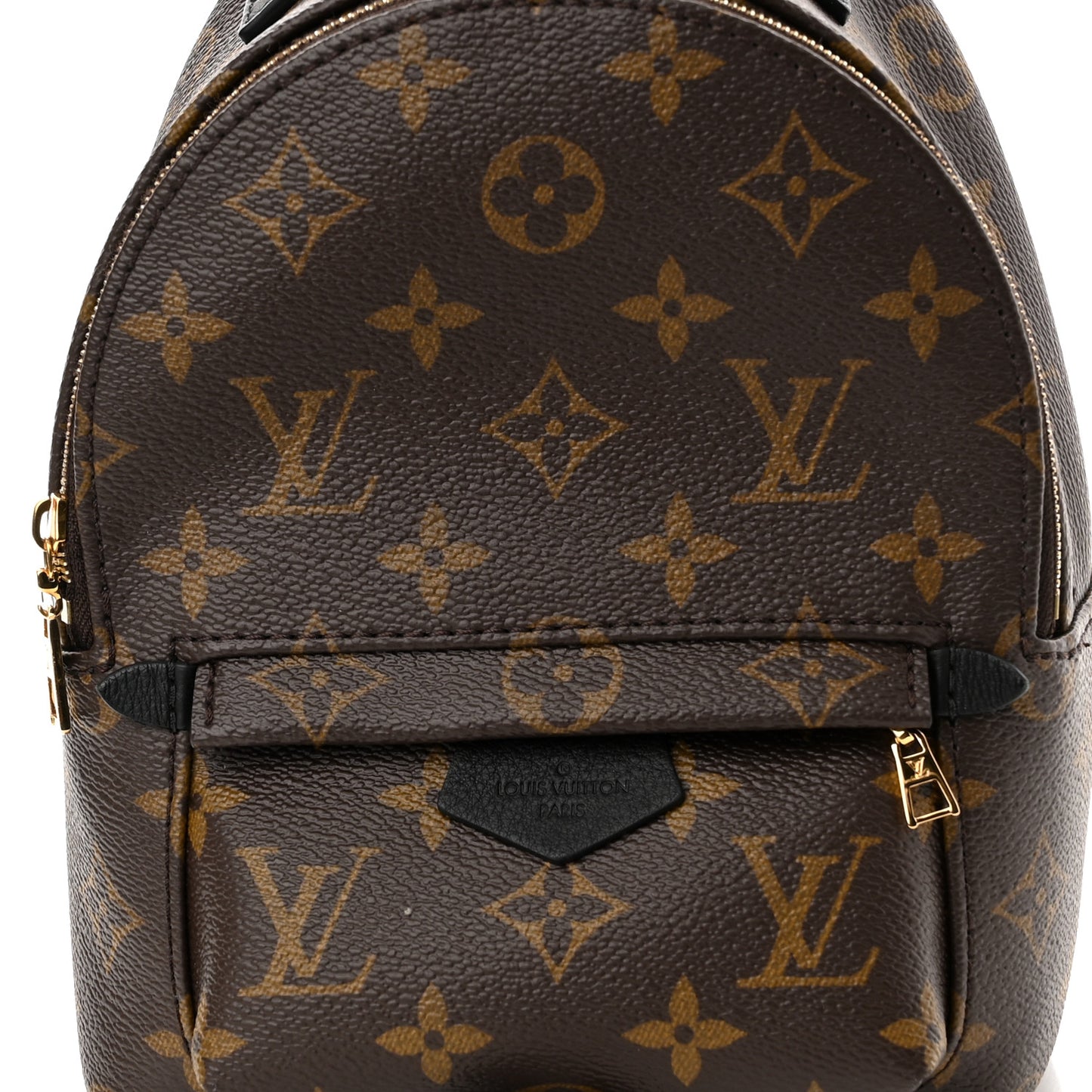 Monogram Palm Springs Backpack Mini
