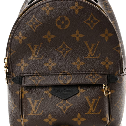 Louis Vuitton Monogram Palm Springs Backpack Mini 7 of 9