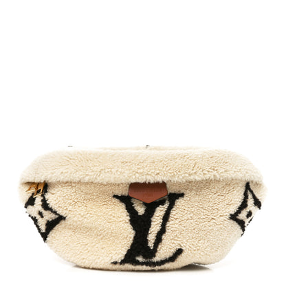 Louis Vuitton Monogram Teddy Bumbag 1 of 9