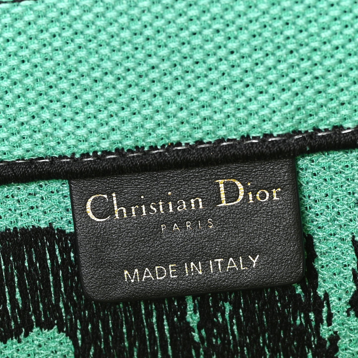 Canvas Embroidered Medium Miss Dior Graffiti Book Tote Green Blue