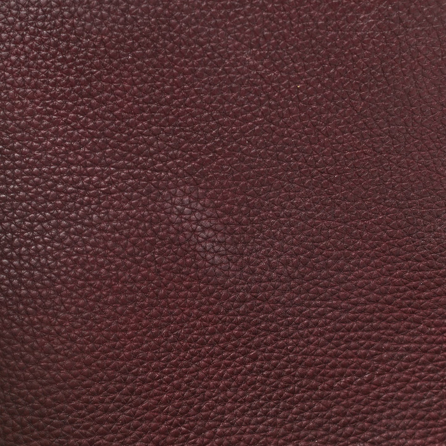 Monogram Eden PM Bordeaux