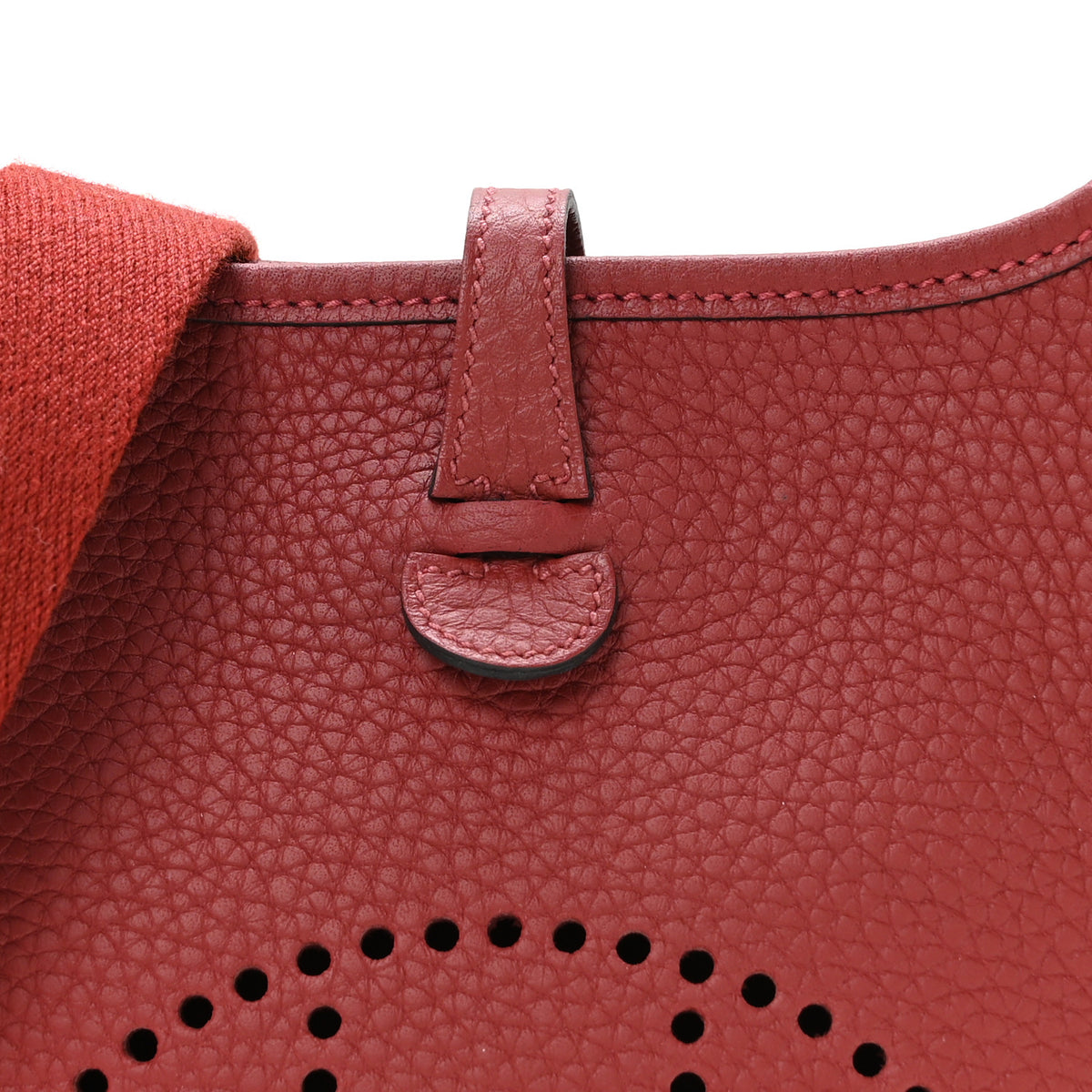 Taurillon Clemence Evelyne TPM Rouge H
