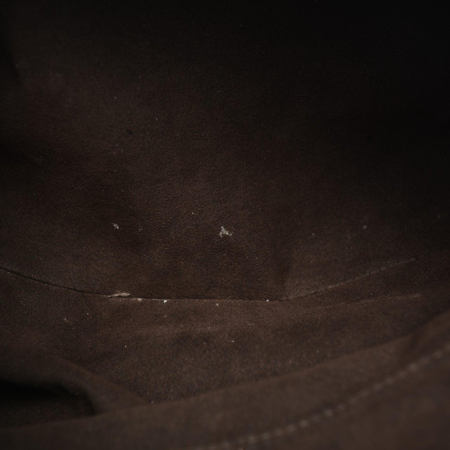 Monogram Lambskin Antheia Hobo PM Fumee