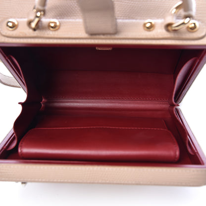 Dolce & Gabbana Lizard Calfskin Embossed Dauphine Tulip Crystal Embellished Box Bag Taupe 5 of 10