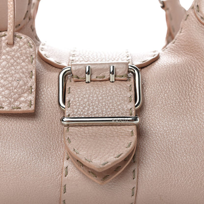 Fendi Cuoio Romano Selleria Sporty Cipria 9 of 9