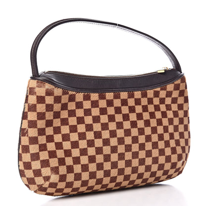 Louis Vuitton Calf Hair Damier Sauvage Tigre 4 of 12