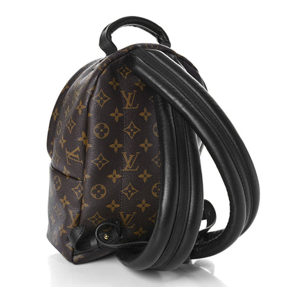 Louis Vuitton Reverse Monogram Palm Springs Backpack PM 3 of 8