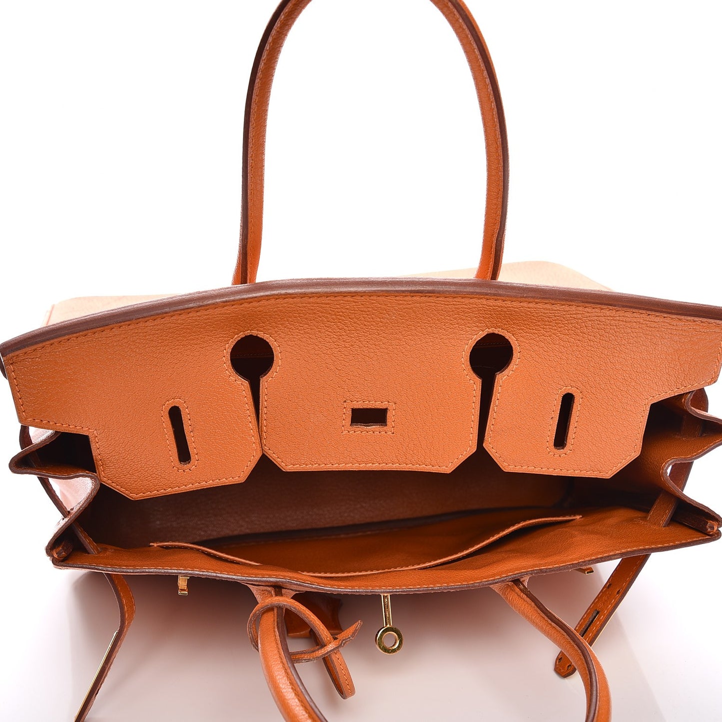 Chevre de Coromandel Birkin 30 Potiron